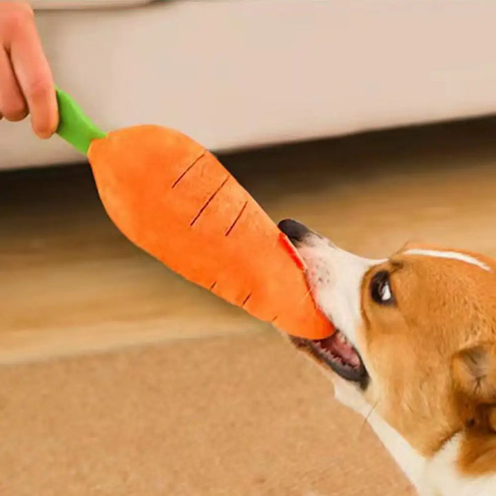 Jouet en Peluche Couineur en Forme de Carotte pour Chien - HautePattes