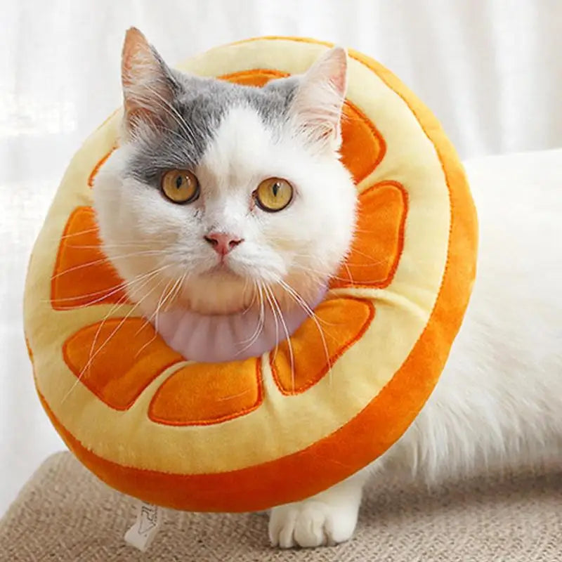 Collerette pour chat en forme d'orange - HautePattes