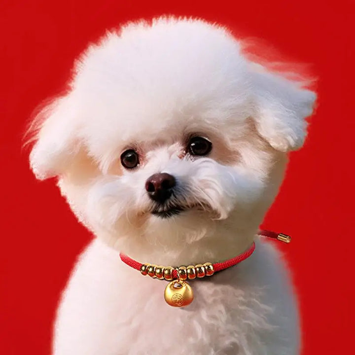 Collier Nouvel An chien & chat : lingot d’or, souvenir unique, message d’amour