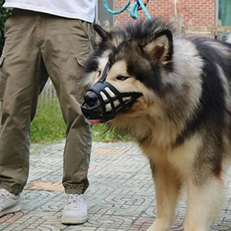 Muselière douce pour chien sensible aimé et protégé