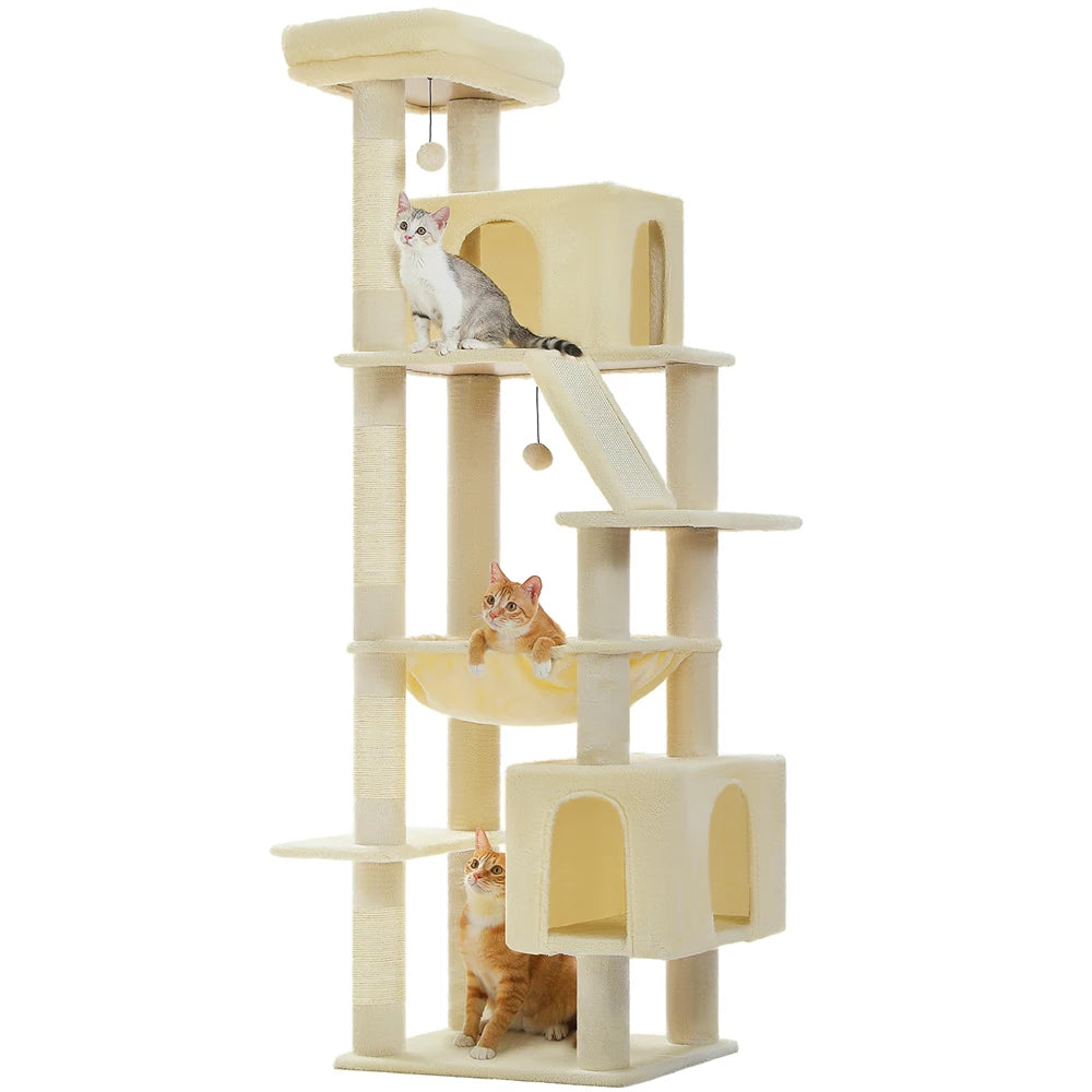 Un territoire majestueux pour les grands chats puissants