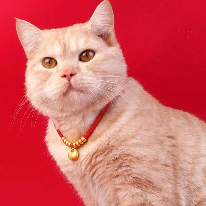 Collier Nouvel An chien & chat : lingot d’or, souvenir unique, message d’amour