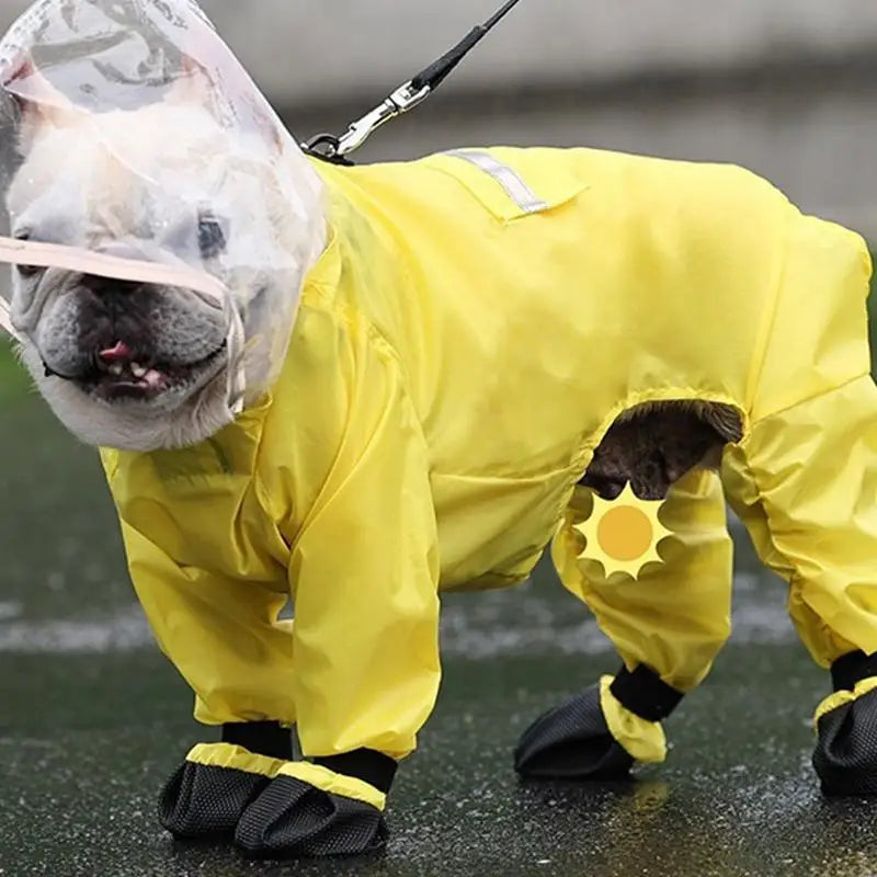 Imperméable Ultra-Résistant pour Chien - HautePattes