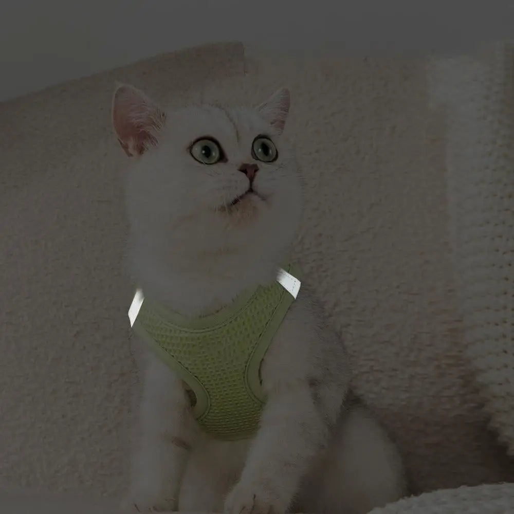 Harnais et laisses anti-fuite pour chat, pour petit et moyen chien, respirant, réfléchissant, réglable, sangle de poitrine pour chaton, fournitures pour animaux de compagnie - HautePattes