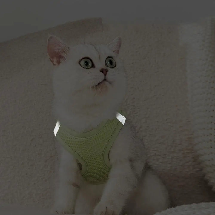 Harnais et laisses anti-fuite pour chat, pour petit et moyen chien, respirant, réfléchissant, réglable, sangle de poitrine pour chaton, fournitures pour animaux de compagnie - HautePattes
