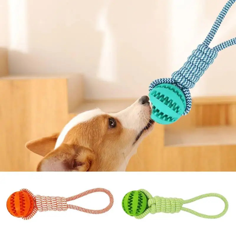 Balle à Corde Intelligente pour Chien - HautePattes