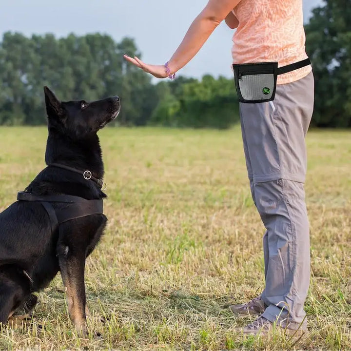 Sac friandises pour chien : dressez mieux, réagissez vite