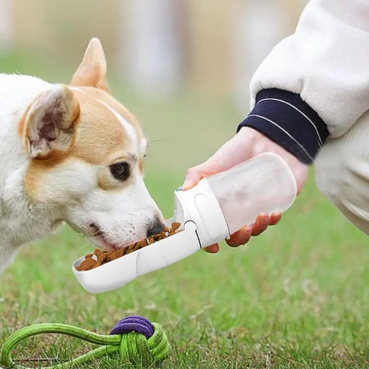 Gourde 2-en-1 pour Chiens – Hydratation & Nourriture - HautePattes