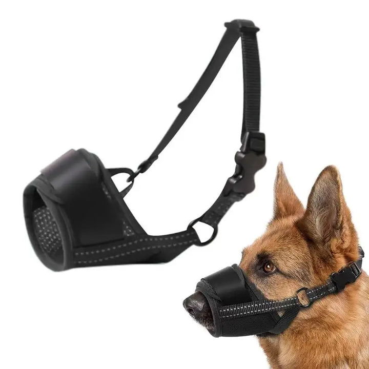Muselière pour grand chien : protégez sans brimer, encadrez avec amour