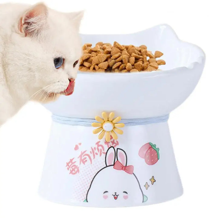 Gamelle surélevée chat – Pour manger sans douleur, tous les jours