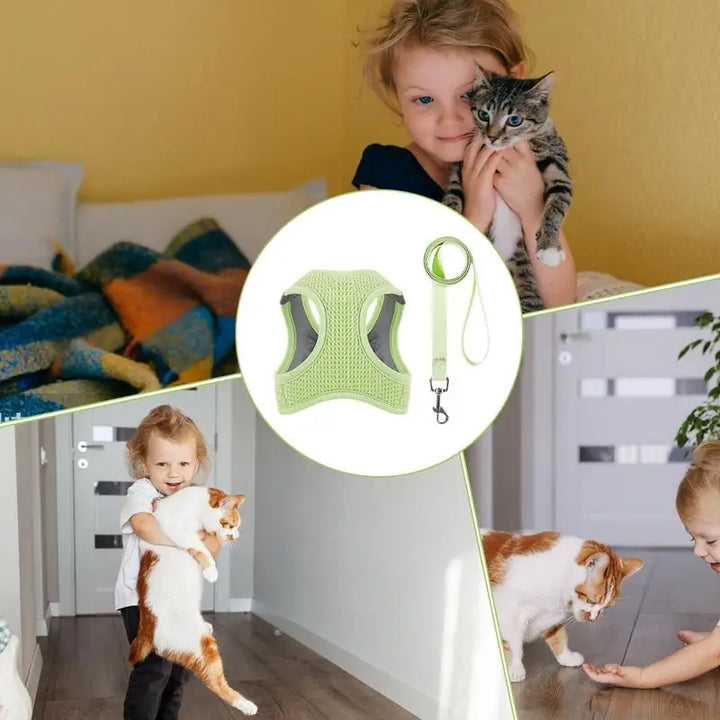 Harnais et laisses anti-fuite pour chat, pour petit et moyen chien, respirant, réfléchissant, réglable, sangle de poitrine pour chaton, fournitures pour animaux de compagnie - HautePattes