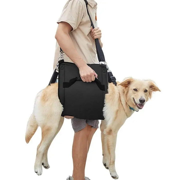 Harnais de soutien pour chien : marcher encore, ensemble