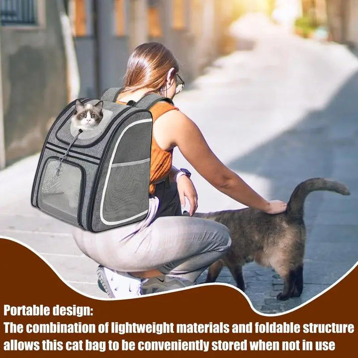 Sac à dos chat & petit chien : confortable, pliable et toujours prêt à partir