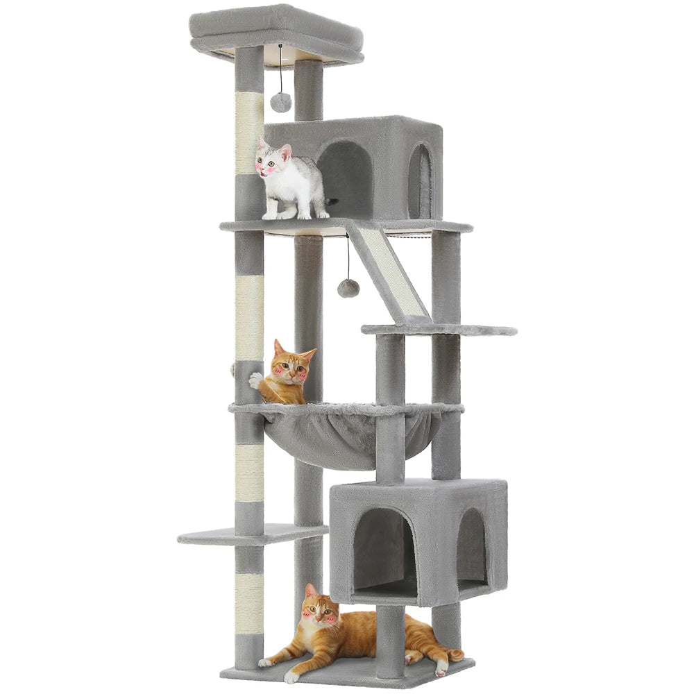 Un territoire majestueux pour les grands chats puissants