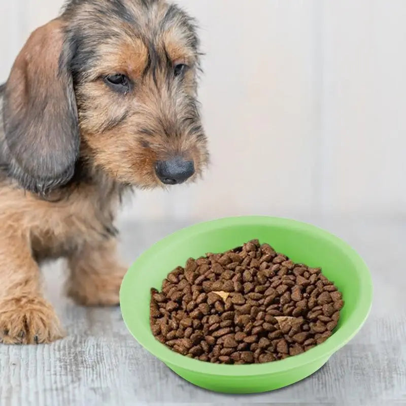 Gamelle en Silicone à Alimentation Lente pour Chiens – Design Mignon & Double Face - HautePattes