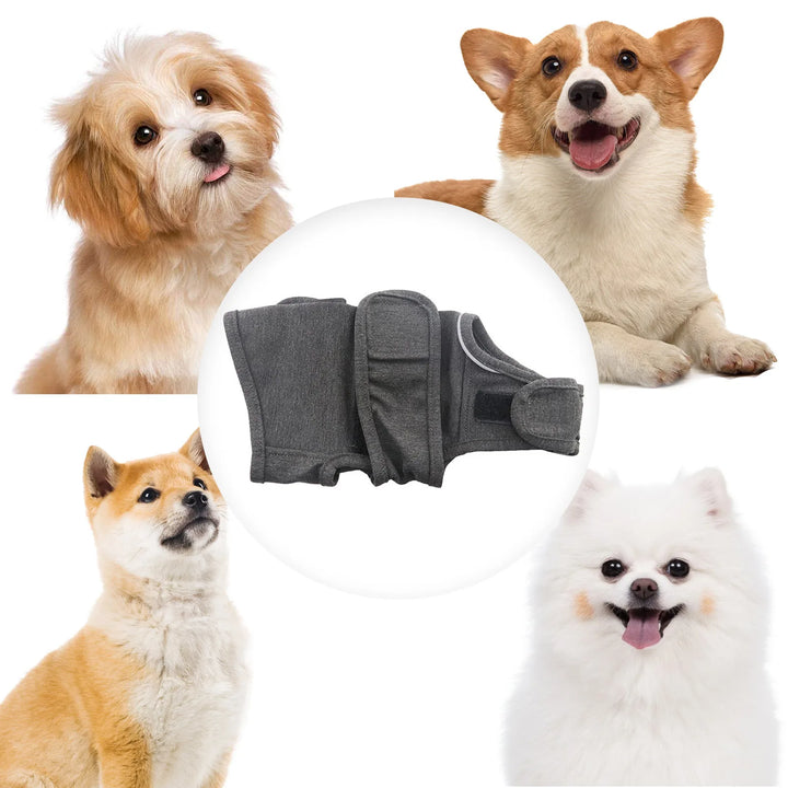 Un câlin continu pour chiens anxieux ou stressés