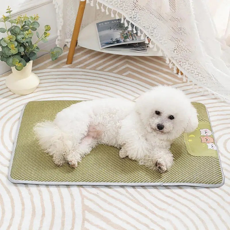 Tapis Rafraîchissant pour Animaux de Compagnie - HautePattes