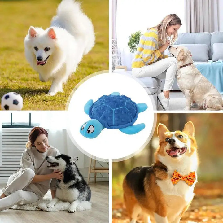 Peluche en Forme de Tortue pour Chien - HautePattes