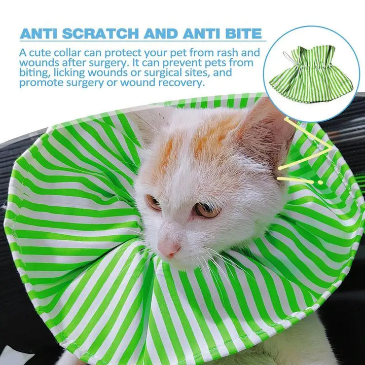 Collerette pour chat - HautePattes