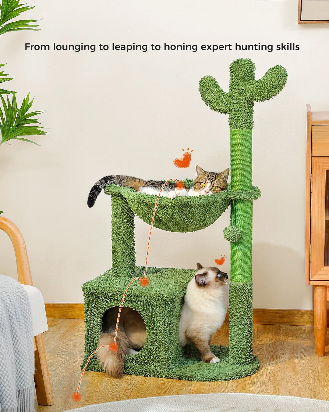Arbre à Chat Cactus 4-en-1 - HautePattes