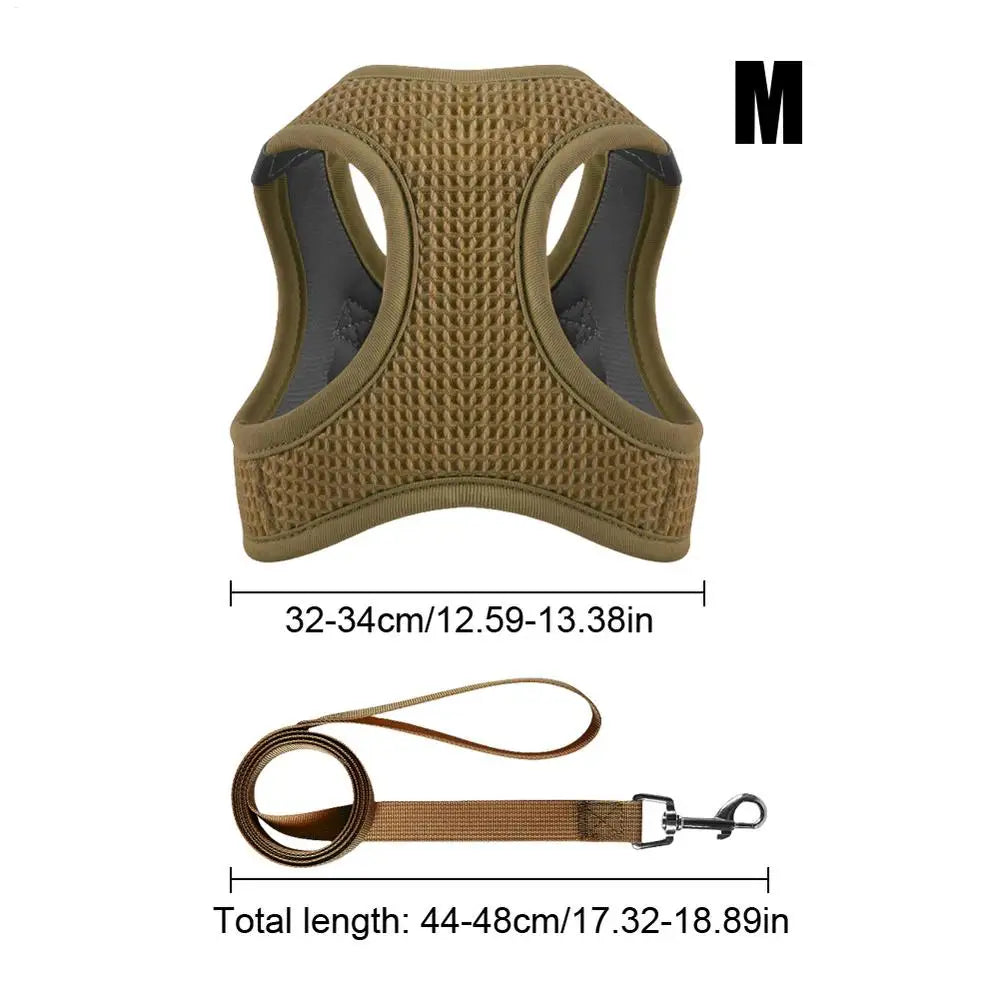 Harnais et laisses anti-fuite pour chat, pour petit et moyen chien, respirant, réfléchissant, réglable, sangle de poitrine pour chaton, fournitures pour animaux de compagnie - HautePattes