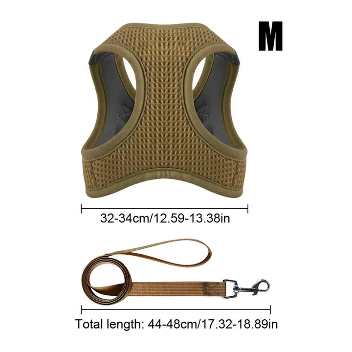 Harnais et laisses anti-fuite pour chat, pour petit et moyen chien, respirant, réfléchissant, réglable, sangle de poitrine pour chaton, fournitures pour animaux de compagnie - HautePattes