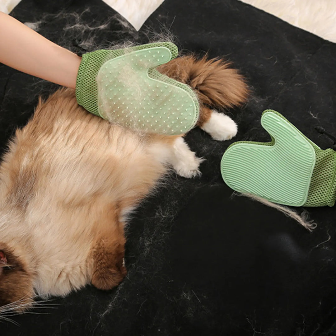 Brosse Gant pour chien et chat - HautePattes