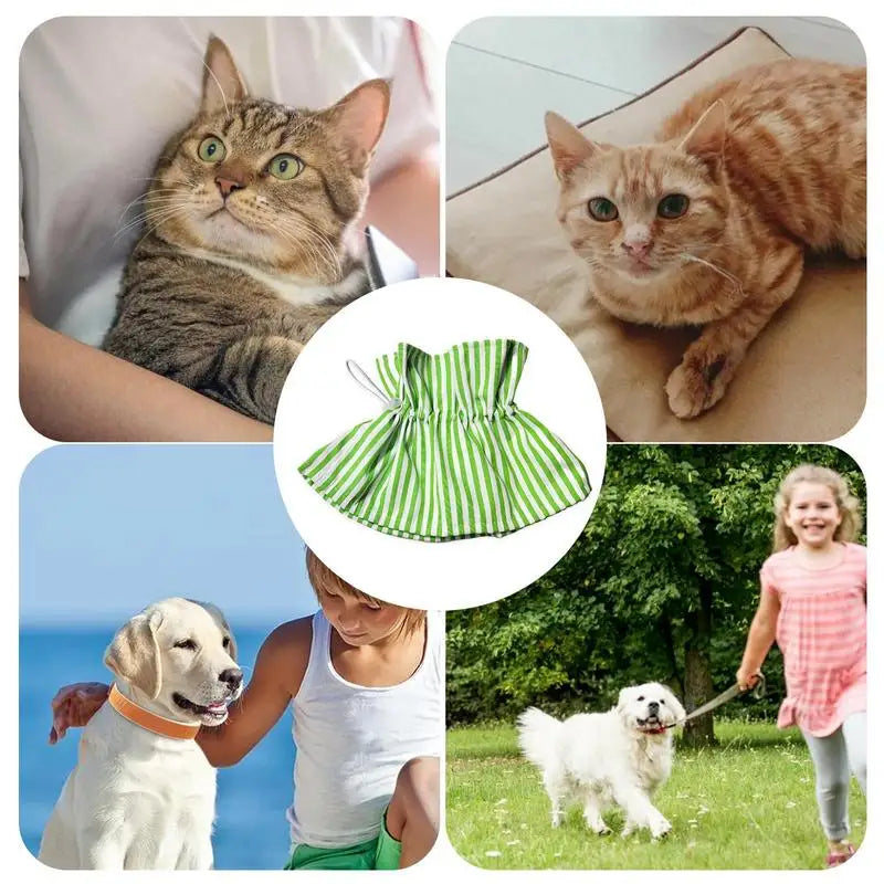 Collerette pour chat - HautePattes