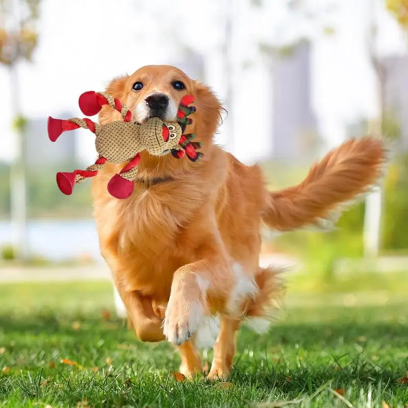 Jouet de Noël à Mâcher pour Chien - HautePattes