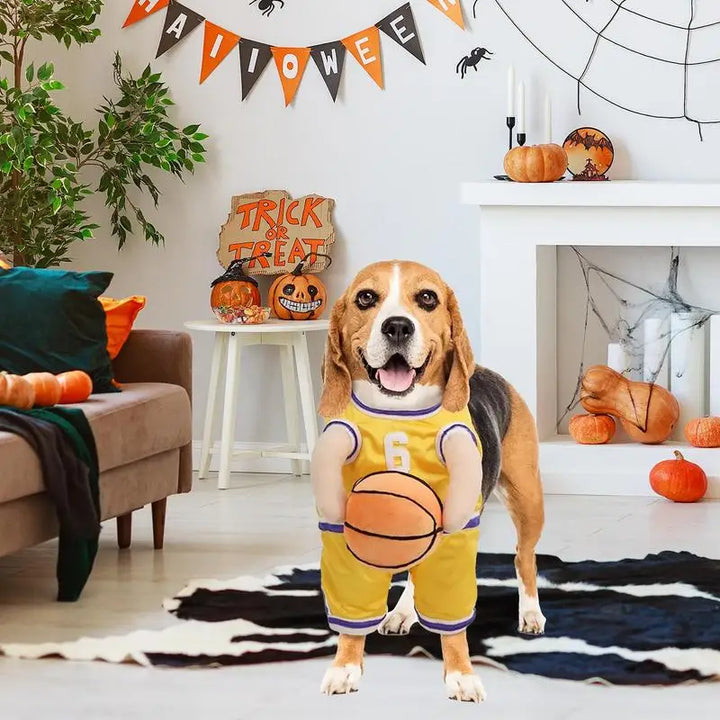 Costume basketteur pour chien : transforme-le en star du salon