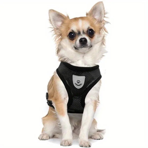 Ensemble harnais et laisse réfléchissants pour animaux de compagnie, pour chiens et chats, harnais réglable pour chiot et chat avec maille douce - HautePattes
