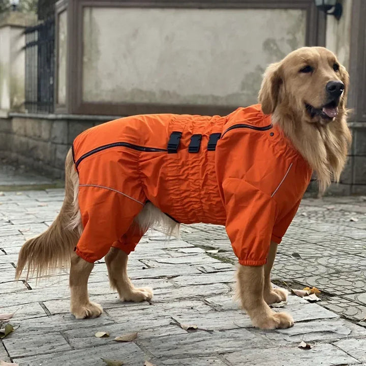 Imperméable 4 pattes pour chien – Confort, style & protection