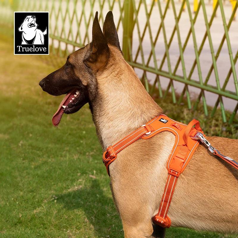 Harnais True love anti-traction chien nylon réfléchissant - HautePattes