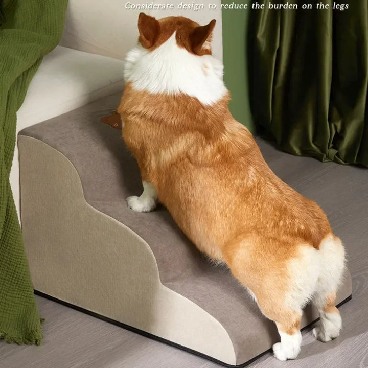 Escalier Premium 2 Marches pour Chiens – Confort et Sécurité Ultimes - HautePattes