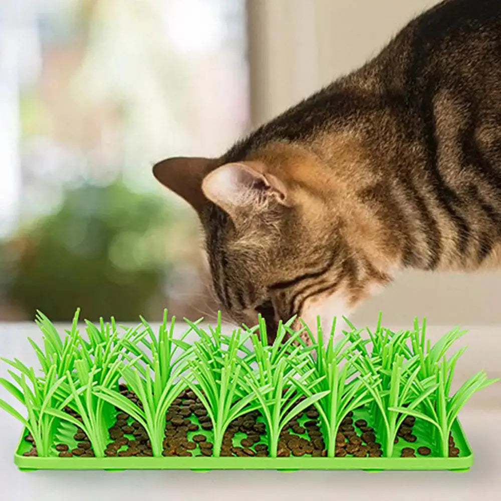 Tapis d’alimentation en herbe pour animaux de compagnie - HautePattes