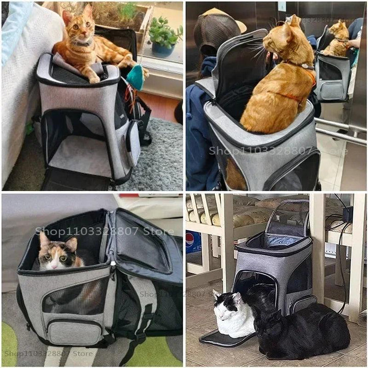 Sac à dos de Transport pour animaux de compagnie, respirant, pliable, sac de voyage, extensible, grande capacité, créatif pour chats et chiens - HautePattes