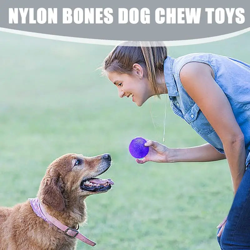 Balle Interactive Lunaire pour Chien - HautePattes