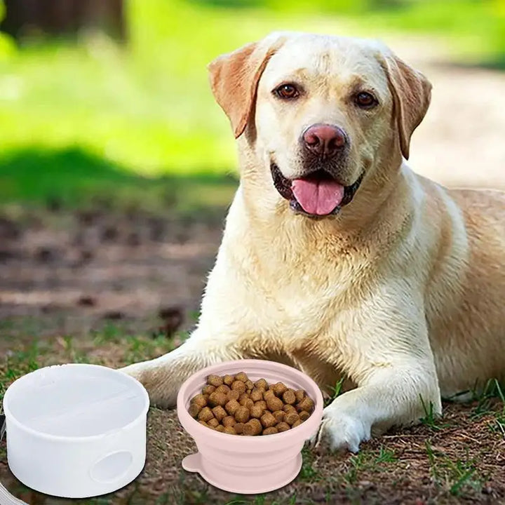Gamelle 3-en-1 pour chien – Compacte, propre, toujours prête