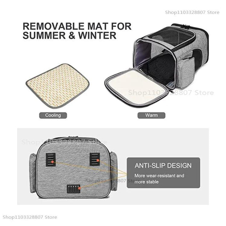 Sac à dos de Transport pour animaux de compagnie, respirant, pliable, sac de voyage, extensible, grande capacité, créatif pour chats et chiens - HautePattes