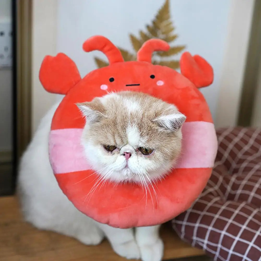 Collerette pour chat en nylon - HautePattes
