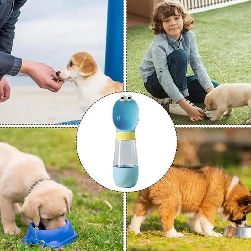 Gourde amovible pour chien - HautePattes