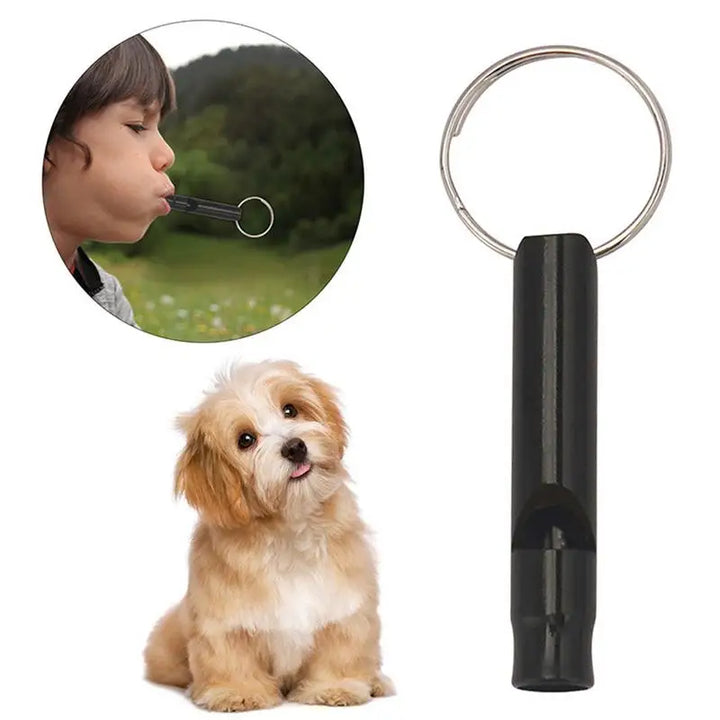 Sifflet Ultrasonique Premium – Dressage & Anti-Aboiement - HautePattes