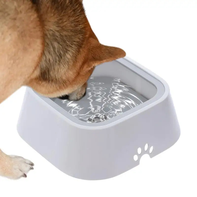 Gamelle anti-fuite pour chien grande capacité - HautePattes