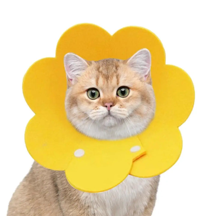 Collerette pour chat couronne en feutre - HautePattes