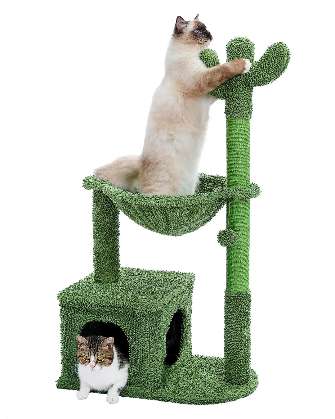 Arbre à Chat Cactus 4-en-1 - HautePattes