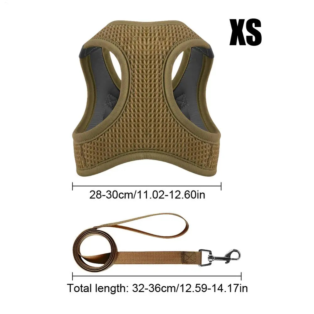 Harnais et laisses anti-fuite pour chat, pour petit et moyen chien, respirant, réfléchissant, réglable, sangle de poitrine pour chaton, fournitures pour animaux de compagnie - HautePattes