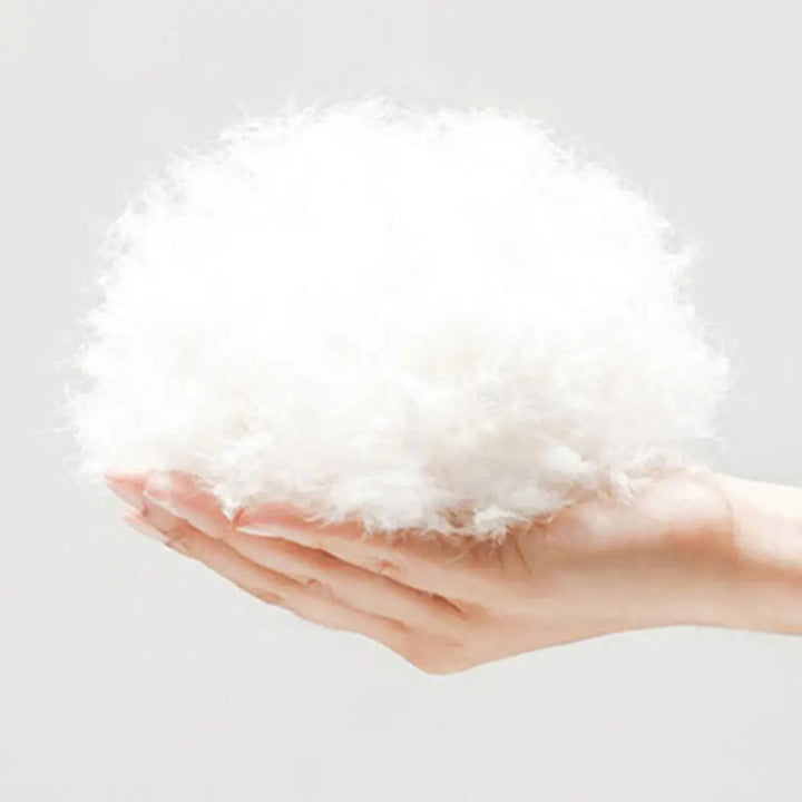 Collerette pour chat en coton de soie et tissu oxfort - HautePattes