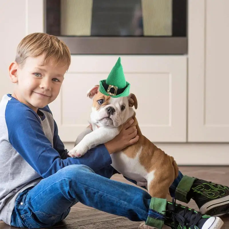 Chapeau vert pour chat ou petit chien - HautePattes