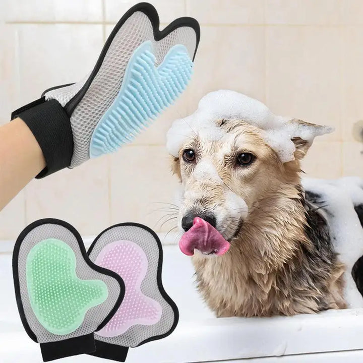 Gants toilettage chien chat : transformez chaque soin en caresse d’amour