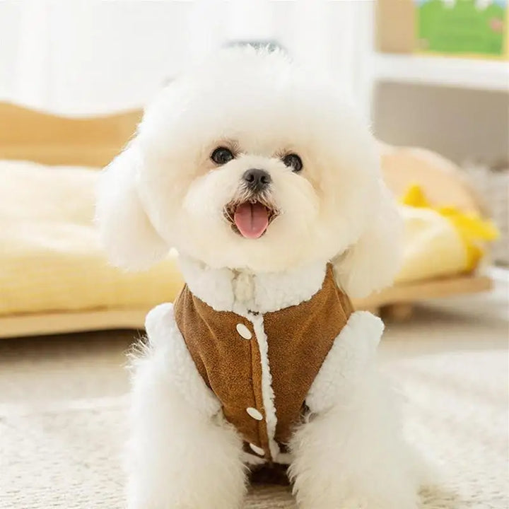 Pull d’Hiver pour Chiens – Confort & Chaleur avec Trou pour Laisse - HautePattes